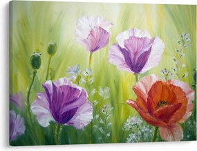 Obraz - Vlčie maky (70x50 cm)