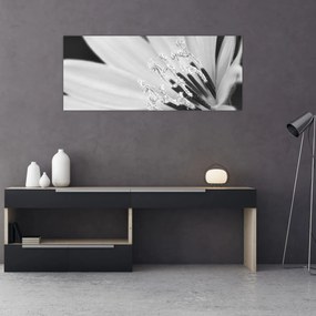 Obraz - Čiernobiely kvet (120x50 cm)