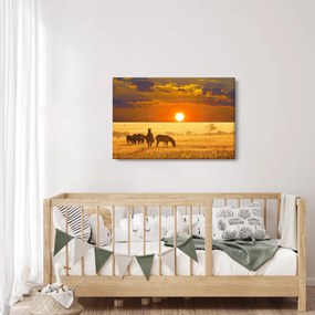 Obraz - Zebry so západom slnka (90x60 cm)