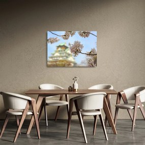 Sklenený obraz - Sakura (70x50 cm)
