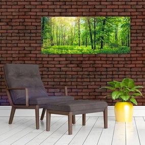 Obraz - Jarný listnatý les (120x50 cm)