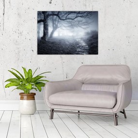 Sklenený obraz - Cesta v hmle (70x50 cm)