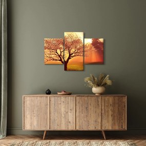 Obraz lúčov Boha (90x60 cm)