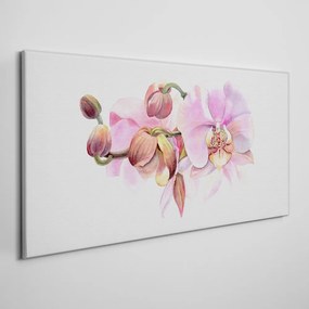 Obraz Canvas Akvarel orchidea kvetina