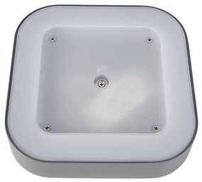 Nástenná a stropná lampa sivá štvorcová IP54 - Ariel