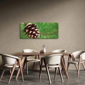 Obraz šišky (120x50 cm)