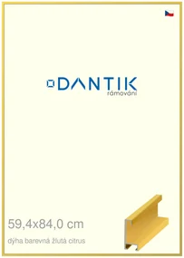 DANTIK rám na obraz 59,4x84 | ALU Dýha barevná žlutá citrus (Plexi Čiré)