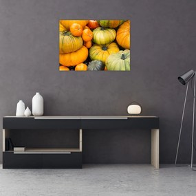 Obraz - Jesenná tekvica (70x50 cm)