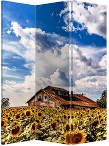 Paraván - Slnečnicové polia (126x170 cm)