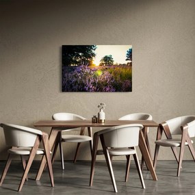 Obraz poľa levanduľou (90x60 cm)