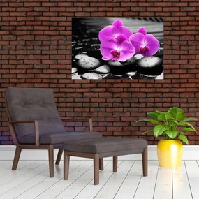 Obraz - Fialové orchidey (90x60 cm)