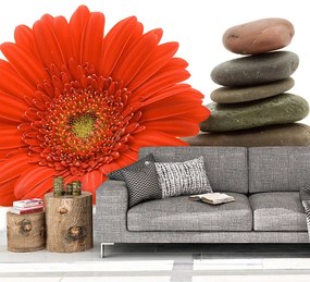 Sablio Tapeta Gerbera s kameňmi - 125x75 cm