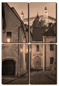 Obraz na plátne - Bratislava staré mesto s hradom vzadu - obdĺžnik 7265FE (120x80 cm)