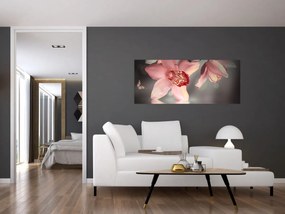 Obraz - Kvety a motýľ (120x50 cm)