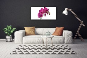 Obraz Canvas Orchidea kvety príroda 100x50 cm