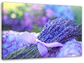 Obraz na plátně Levandulové květiny Příroda - 100x70 cm