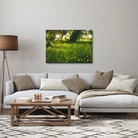 Obraz prírody - lúka (70x50 cm)