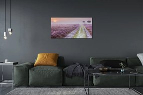 Obraz canvas poľné vresy 120x60 cm