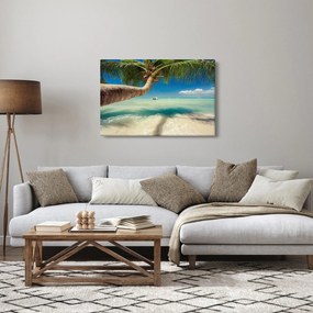 Obraz - Čisté more s palmou (90x60 cm)