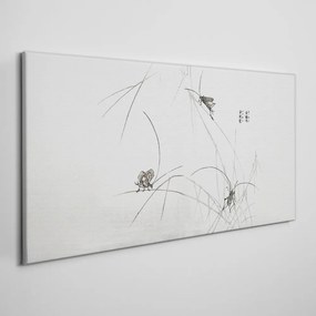 Obraz na plátne moderné hmyz