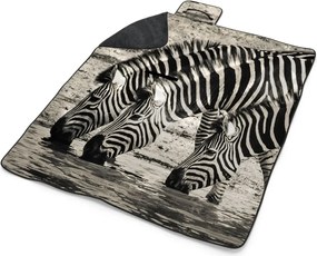 Sablio Plážová deka Zebry pri vode: 200x140 cm