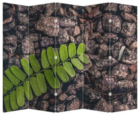 Paraván - Zelená rastlina (210x170 cm)