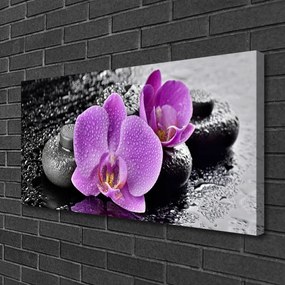 Obraz Canvas Orchidea kvety kamene zen 140x70 cm