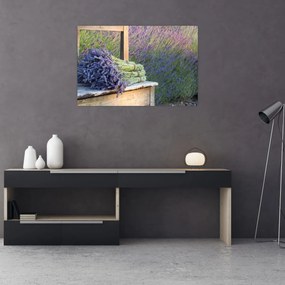 Obraz - Levanduľové zväzky (90x60 cm)