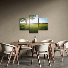Obraz stromu v poli (90x60 cm)