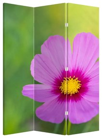 Paraván - Lúčná kvetina (126x170 cm)