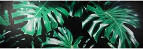 Obraz na plátne Zelené listy na čiernom pozadí, 150x50 cm%
