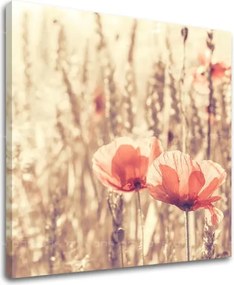 Obraz na stenu KVETY