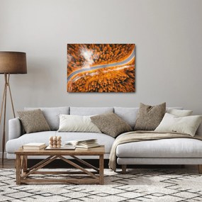 Obraz - Horská cesta (70x50 cm)