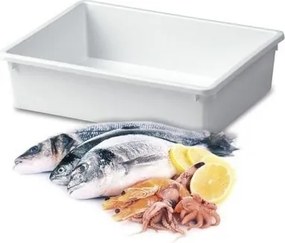 usporadejto.cz 2. akosť - Organizér, úložný box do hlbokých skríň a špájz, TRAY - 50 x 34 x 12cm, biela