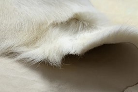 Koberec RENIFER POK007 krémový / sivý