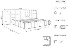 Svetlosivá čalúnená dvojlôžková posteľ s úložným priestorom a roštom 200x200 cm Mamaia – Micadoni Home