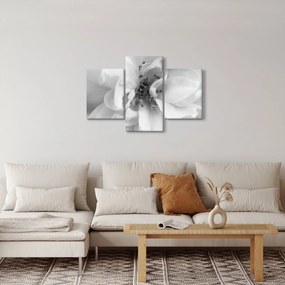 Obraz - Kvet, čiernobiela (90x60 cm)