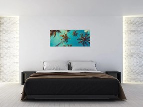 Obraz - Vysoké palmy (120x50 cm)