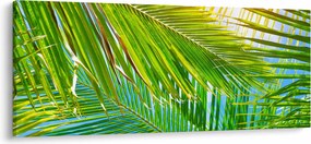 Obraz - Palmové listy (120x50 cm)