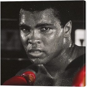 Obraz na plátne Muhammad Ali - Boxing Gloves, (60 x 60 cm)