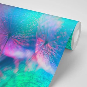 Samolepiaca tapeta púpava v pastelových farbách - 150x100