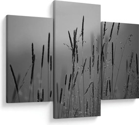 Obraz - Steblá trávy (90x60 cm)
