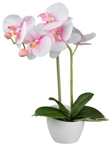 Gasper Orchidea v bielom melamínovom kvetináči, 33 cm, ružová