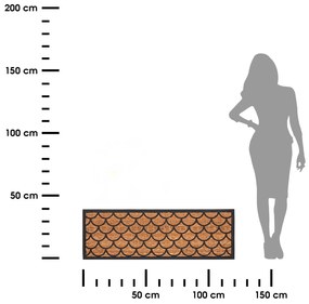 Vonkajšia rohožka Wave, 120x40 cm