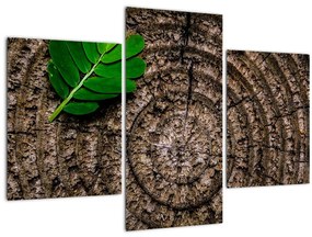 Obraz listu na kmeni stromu (90x60 cm)