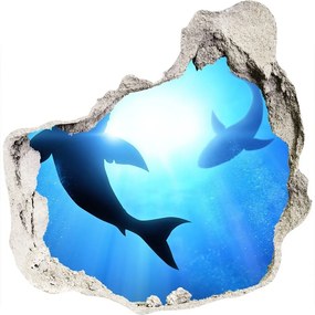Diera 3D fototapety na stenu nálepka Dva žraloky nd-p-69178156