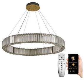 NEDES LED Stmievateľný luster na lanku LED/50W/230V 3000-6500K chróm/zlatá + DO ND3531