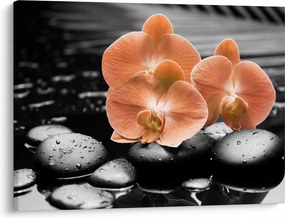 Obraz - Oranžové orchidey (70x50 cm)