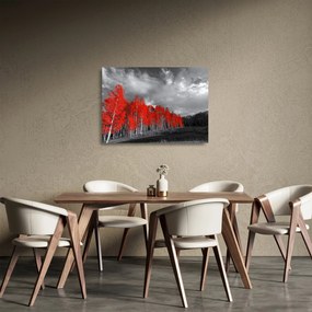 Sklenený obraz - Stromy vo farbe jesene (70x50 cm)