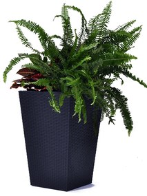 Keter Rattan planter M